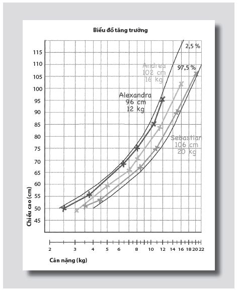 Biểu đồ tăng trưởng của 100 trẻ em