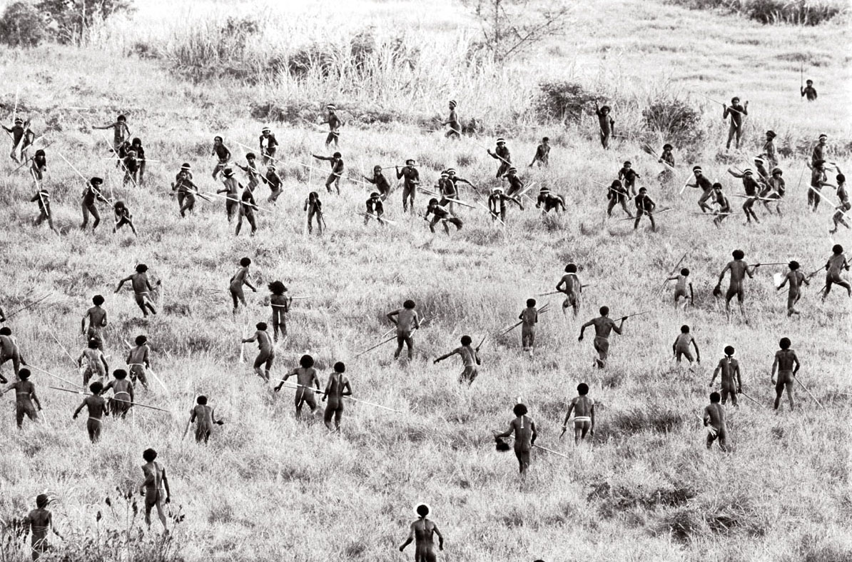 Chiến tranh bộ lạc ở New Guinea giữa hai cộng đồng nông nghiệp (1960)