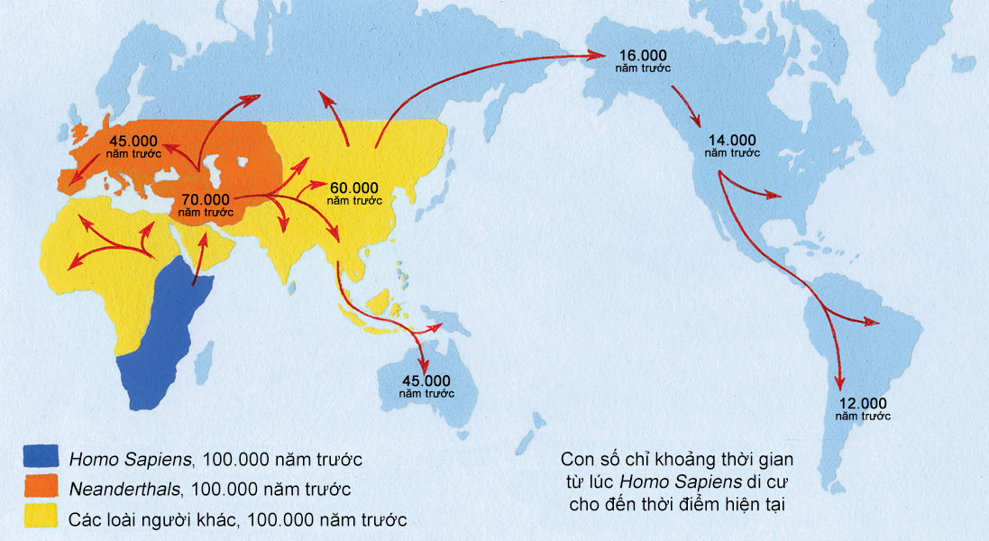 Homo sapiens chinh phục toàn cầu